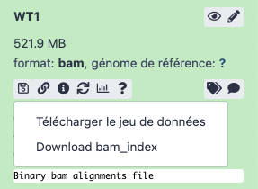 Télécharger les fichiers bam