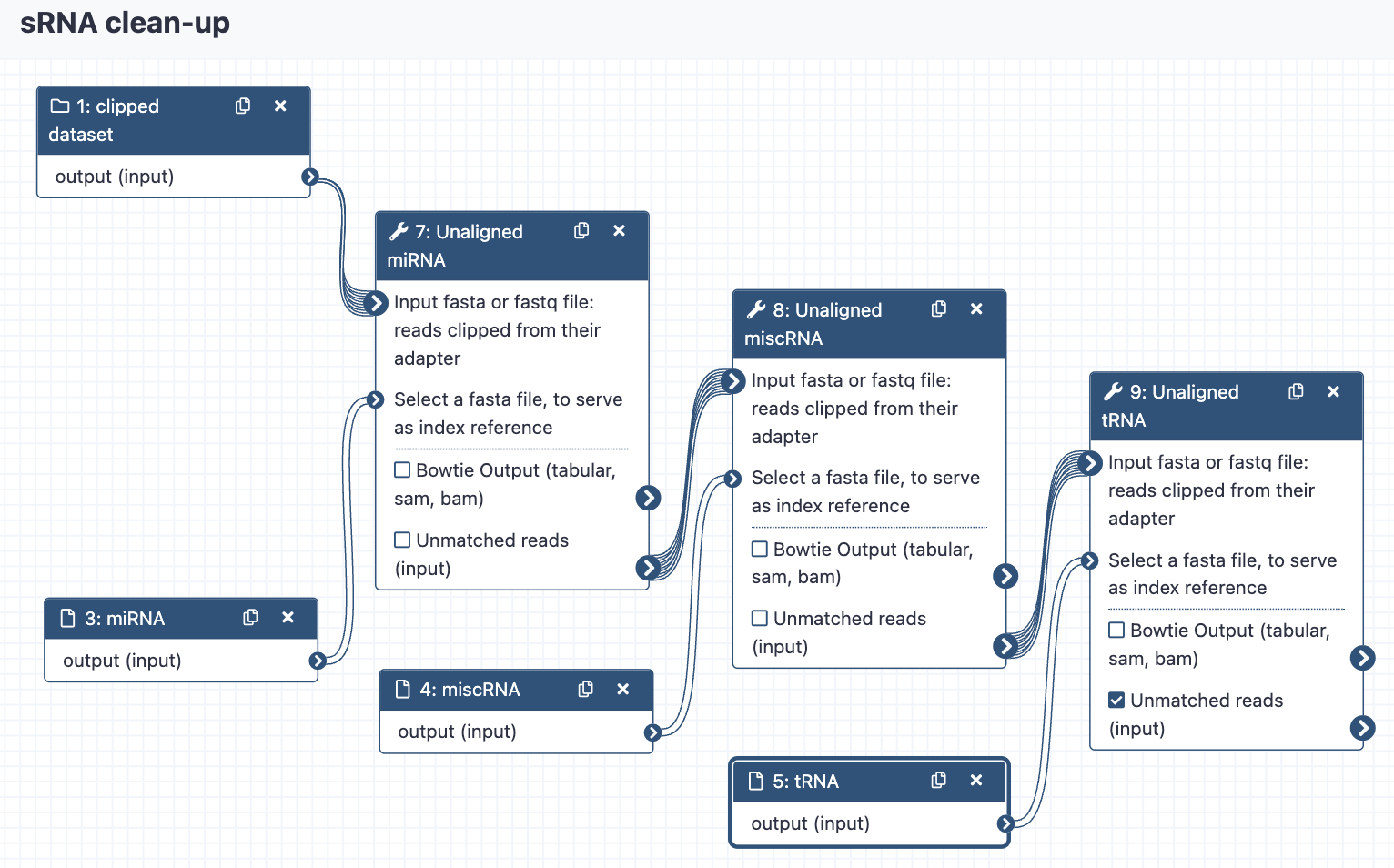 sRNA clean-up workflow