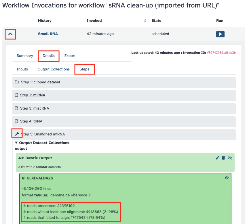 Workflow output