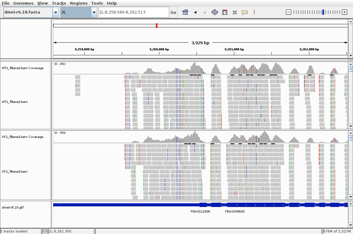 Visualisation des alignements