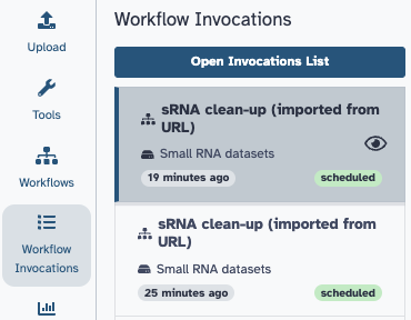 Workflow invocations