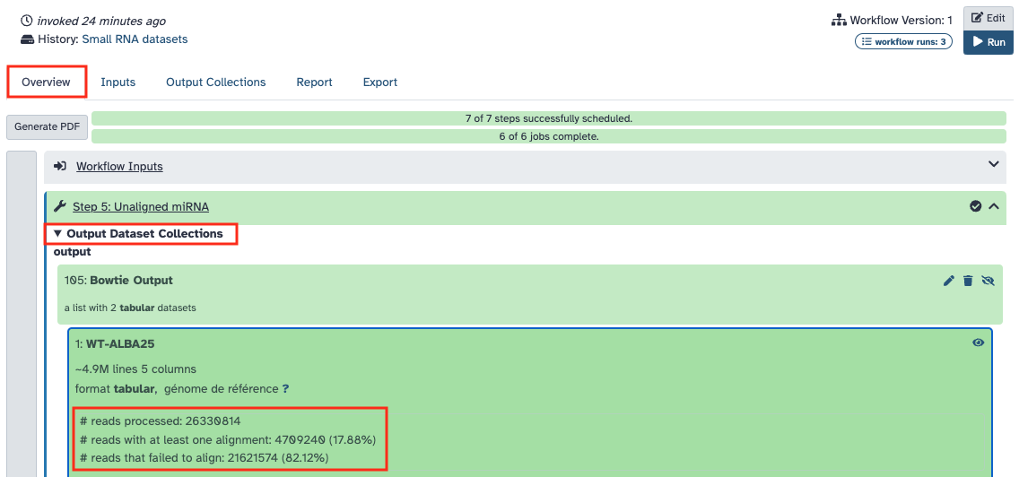 Workflow output