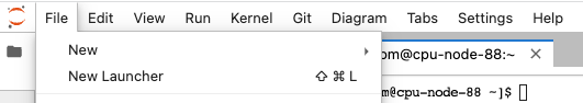 JupyterHub new launcher