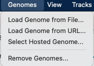 IGV genome