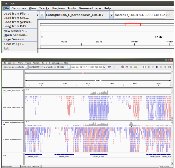 Reads visualization