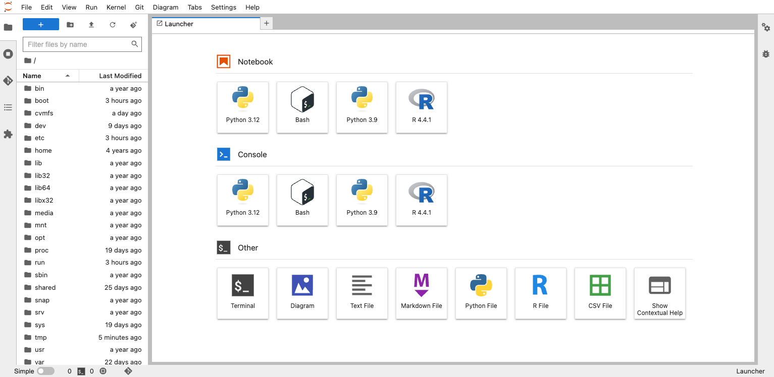 JupyterLab launcher