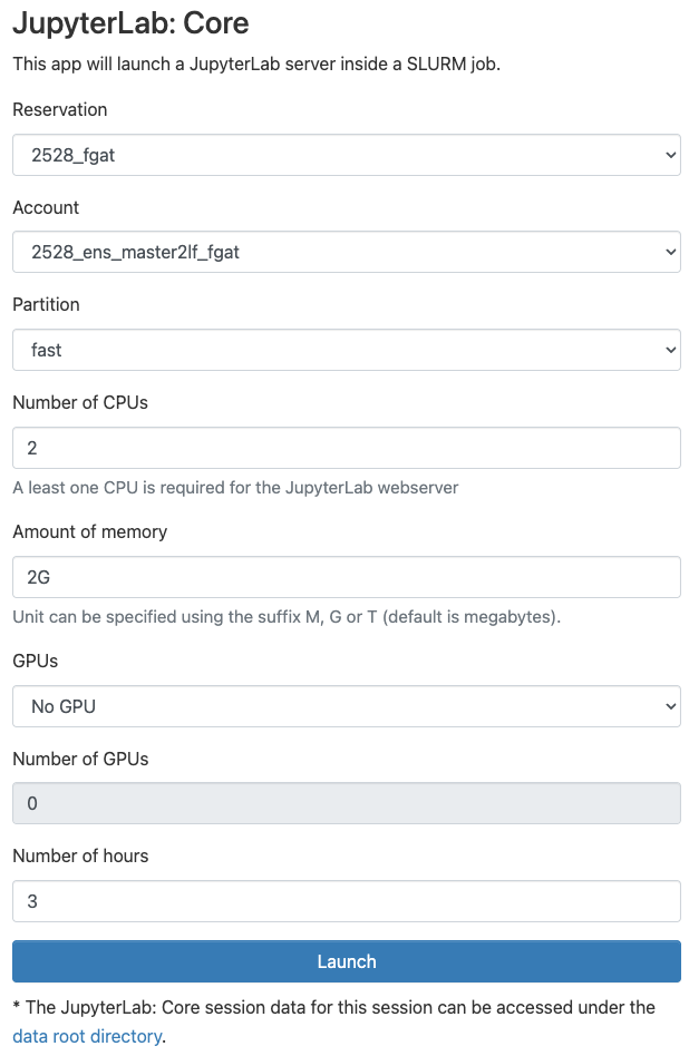 JupyterLab server options