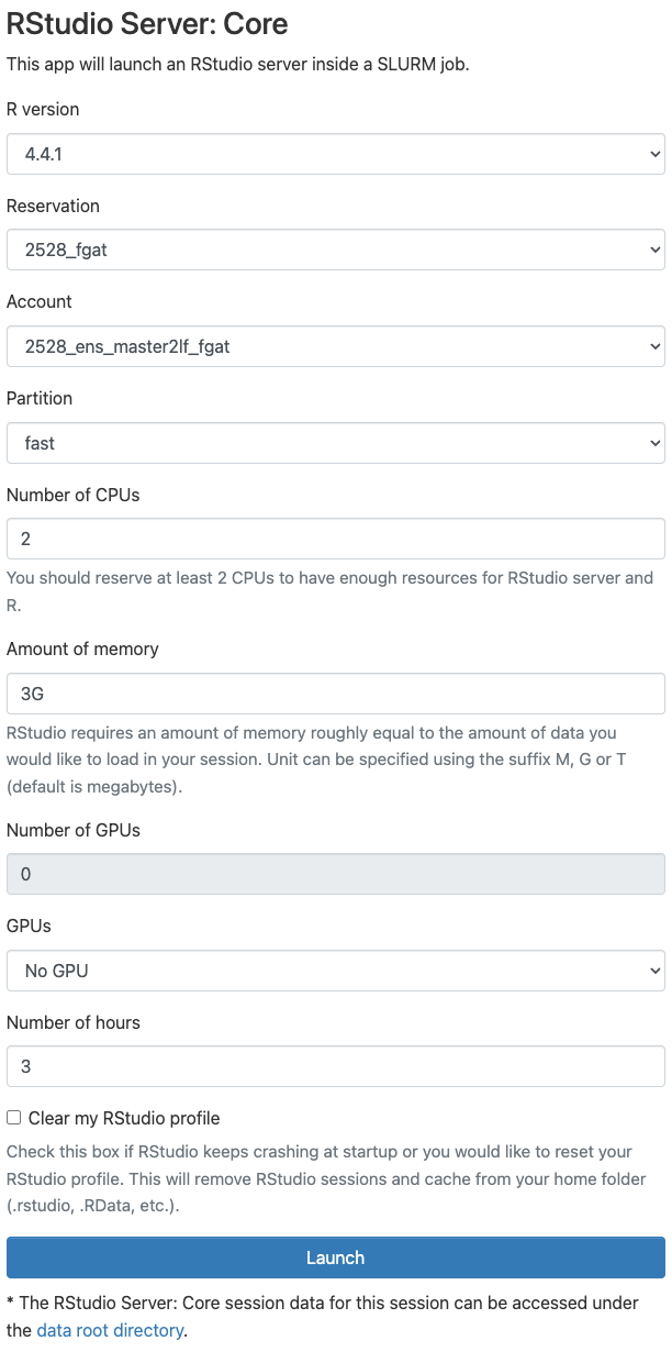 RStudio server options